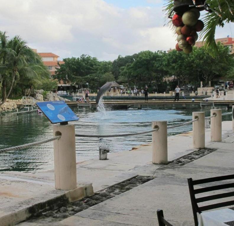 Apartmán Puerto Aventuras, Departamento A Unos Pasos De La Playa Exteriér fotografie