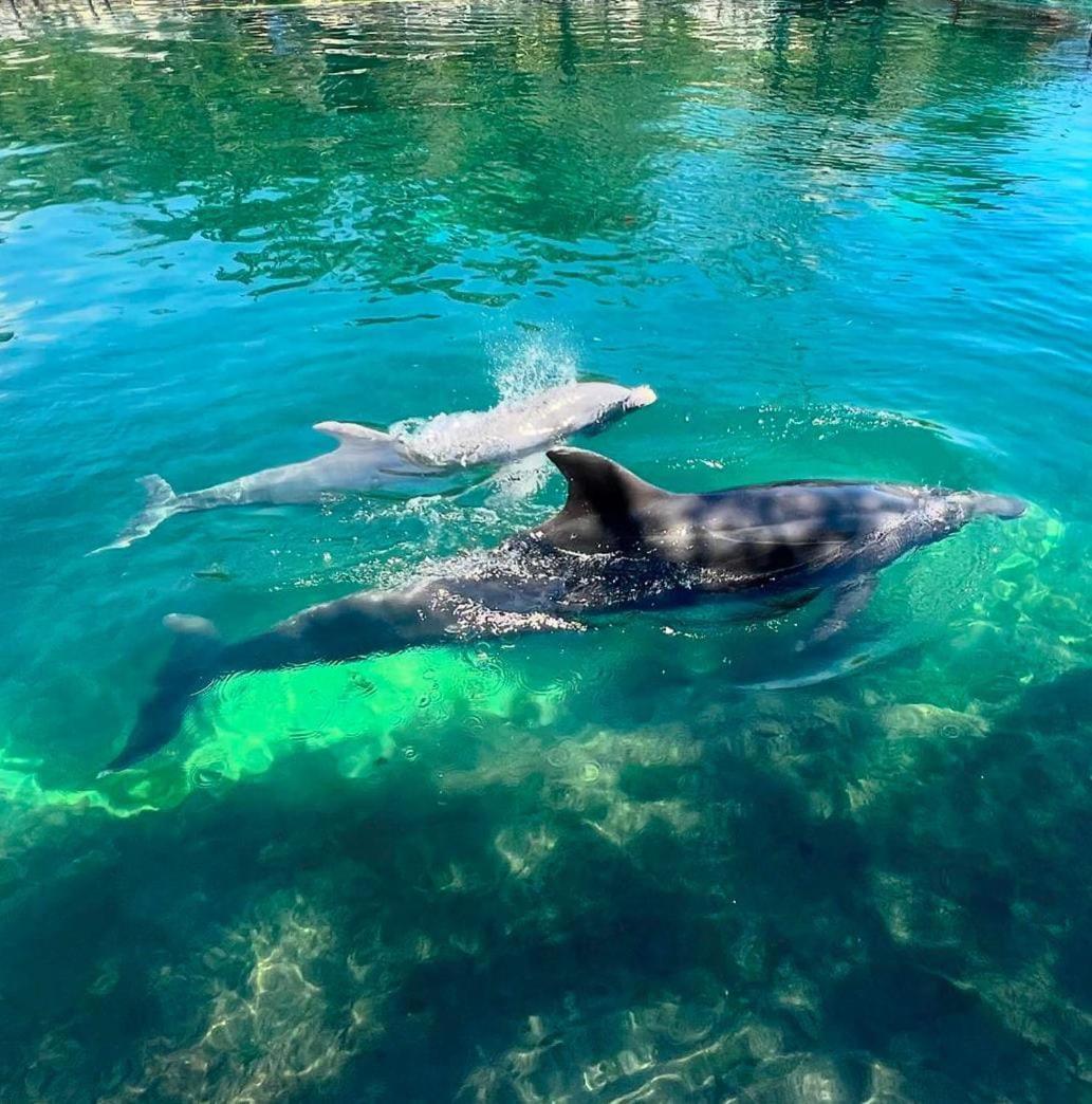 Apartmán Puerto Aventuras, Departamento A Unos Pasos De La Playa Exteriér fotografie