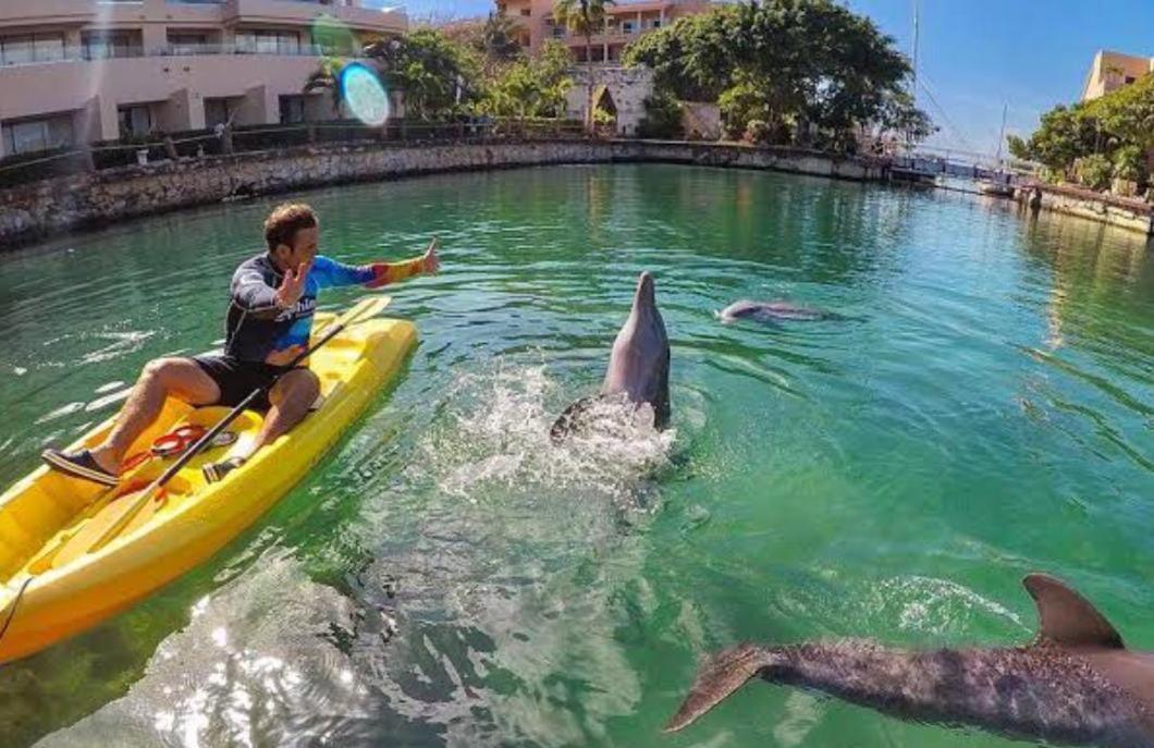 Apartmán Puerto Aventuras, Departamento A Unos Pasos De La Playa Exteriér fotografie